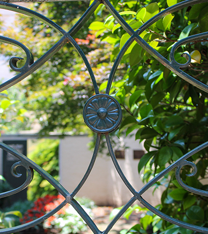 瓦伦丁-杰克逊花园的照片